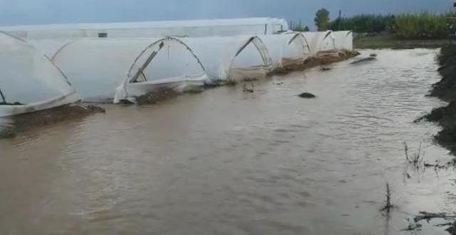 Antalya'da çilek seraları sular altında kaldı