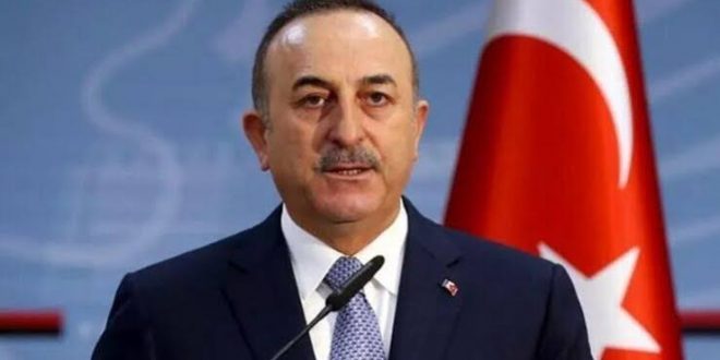 Çavuşoğlu'ndan Filistin ve Cezayir açıklaması