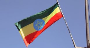 Etiyopya hükümet güçleri isyandan sonra ilk kez Tigray'ın başkentinde