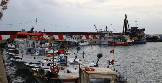 Tekirdağ'da lodos hayatı olumsuz etkiledi