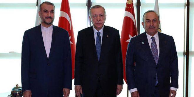 Cumhurbaşkanı Erdoğan İran Dışişleri Bakanı'nı kabul etti