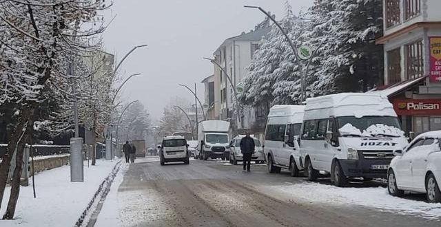 Tunceli'de kuduz vakası