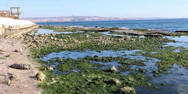 Marmara Denizi 25 metre çekildi!