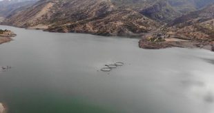 Şırnak Valiliği'nden Uludere Barajı için açıklama