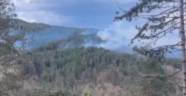 Kastamonu'da ormanlık alanda yangın çıktı