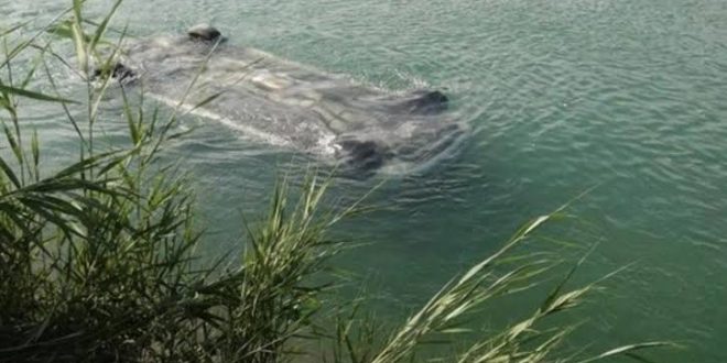 3 kişi sulama kanalına düşen otomobilden çıkamadı