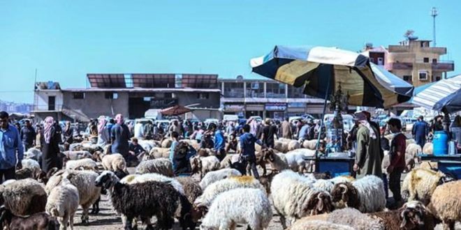 İdlib'de bombaların gölgesinde kurban hareketliliği