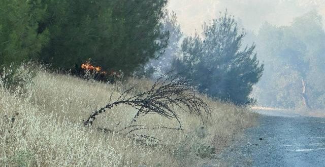 Kilis'te orman yangını!