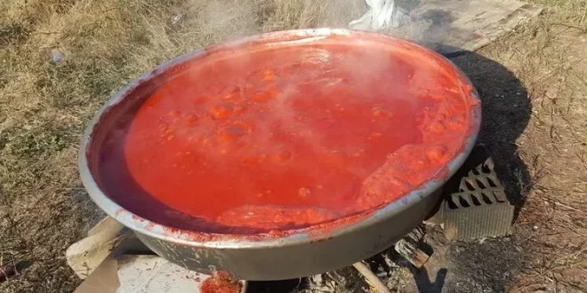 Muğla'da feci olay! 2 yaşındaki çocuk salça kazanına düştü