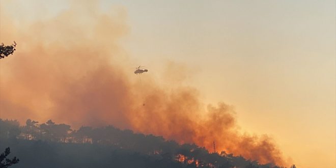 7 evi yakan Hatay yangınında tutuklama kararı