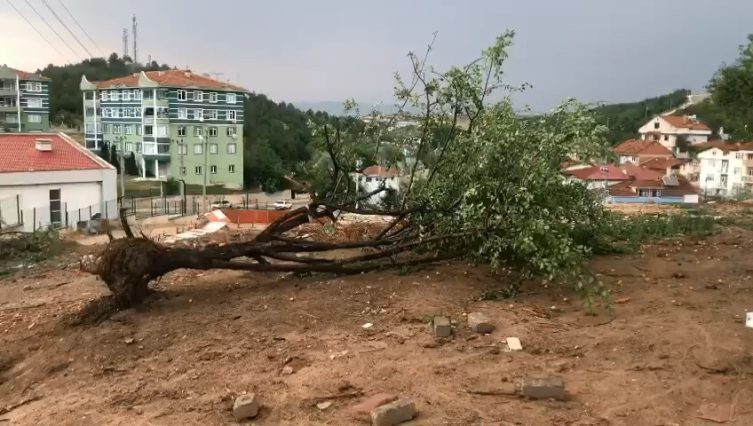 Kastamonu'da fırtına! Çatılar uçtu, ağaçlar devrildi