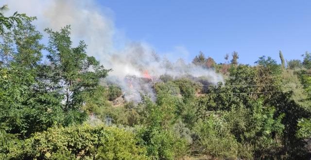 Bir orman yangını haberi de Osmaniye'den geldi