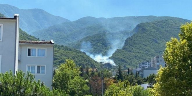 Bursa Kaplıkaya'da orman yangını!