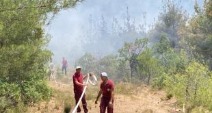 Eskişehir'de orman yangını