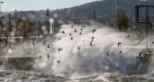 Güney Ege ve Batı Akdeniz için "fırtına" uyarısı