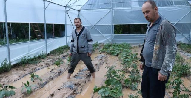 Oltu'da sağanak yağış sele döndü, ekili alanlar zarar gördü