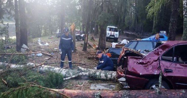 Rusya'da şiddetli fırtına ağacı insanların üzerine devirdi: 8 ölü