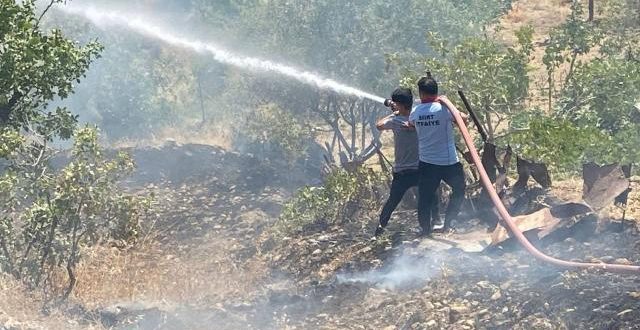 Siirt'te fıstık bahçesinde yangın çıktı