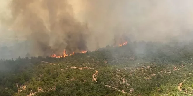 Çanakkale saatlerdir yanıyor; 9 köy boşaltıldı