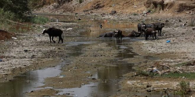 İran, Irak'a akan nehrin suyunu kesti