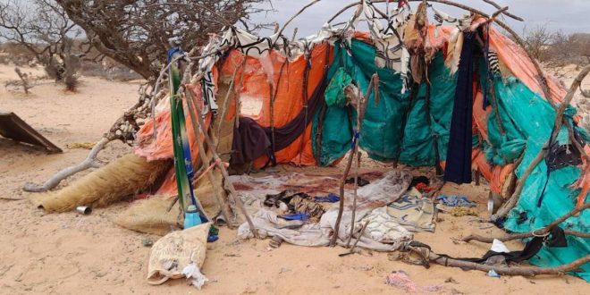 Hiç bir hakkın geçerli olmadığı ülke: Somali