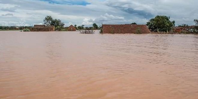 Kenya'daki sel felaketinde ölü sayısı artıyor