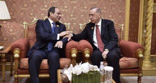 Erdoğan - Sisi görüşmesi dünya basınında