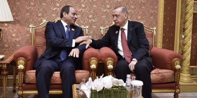 Erdoğan - Sisi görüşmesi dünya basınında