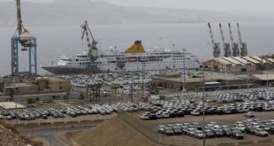 New cars are parked in the port of the s