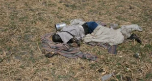 southern sudan civilians killed 61964217 v2