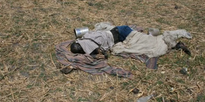 southern sudan civilians killed 61964217 v2