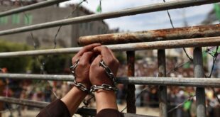 palestinian prisoners day 2013