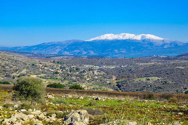 View of the Hula Valley and Mount Hermon, Northern Israel